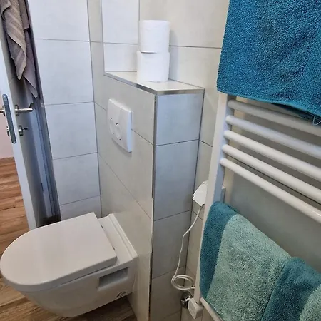 Ana Gæstehus *